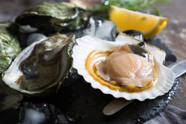 新鮮的牡蠣和扇貝圖片