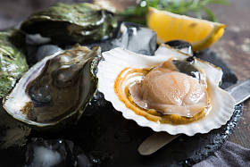 新鲜的牡蛎和扇贝图片