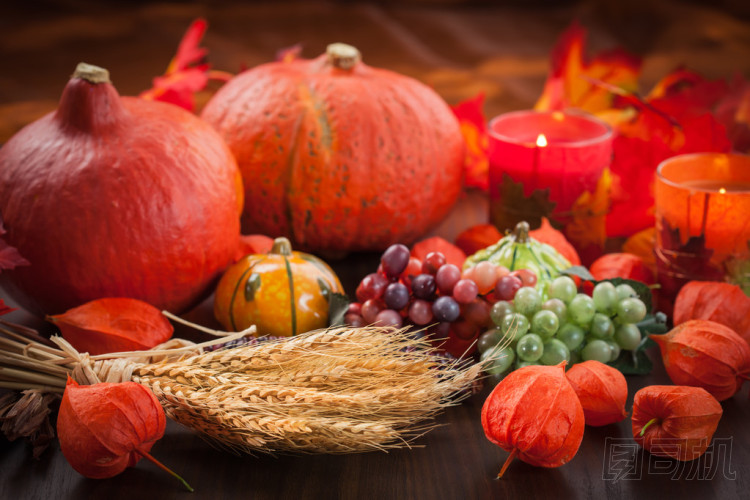 感恩節(jié)圖片