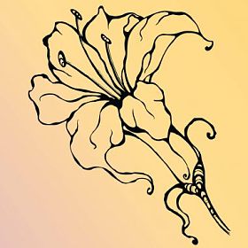 优雅的百合花