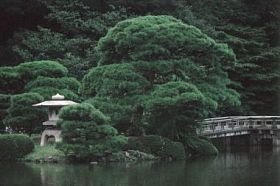 绿色的日本花园图片