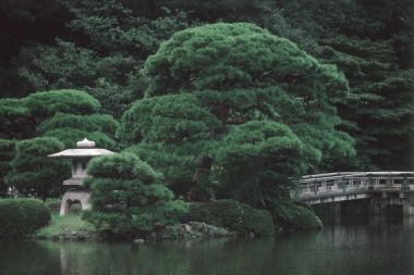绿色的日本花园图片