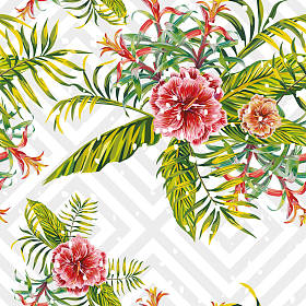 芙蓉叶 brumeliad 模式