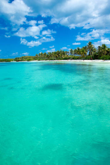  熱帶海景