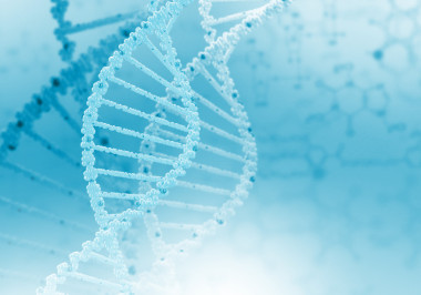 dna 鏈圖片