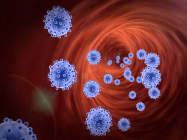 在血管中的病毒圖片