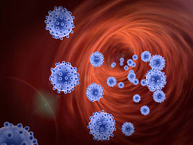 在血管中的病毒图片