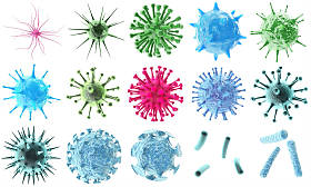 3d 渲染病毒细菌图标设置、 抽象孤立在黑色背景上的美丽微生物多彩单元微生物病毒分子细菌对象集