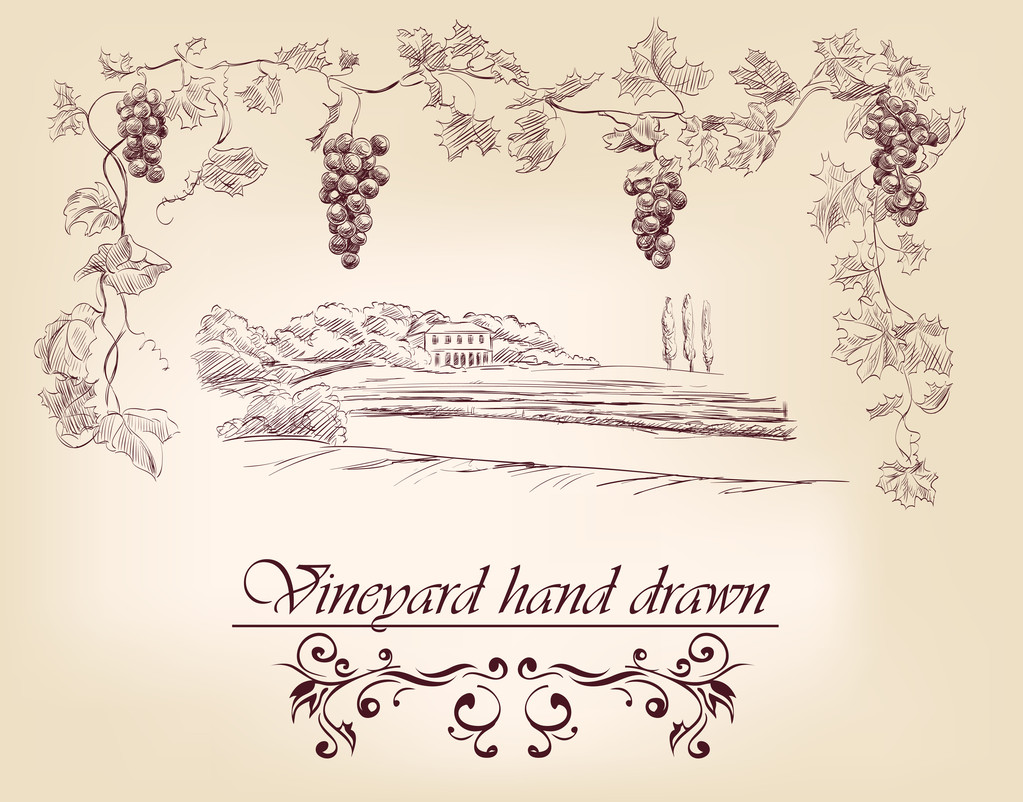 手工绘制的标签的葡萄园图片 手工绘制的标签的葡萄园图片