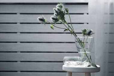 綠枝在花瓶 照片