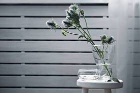 绿枝在花瓶 照片