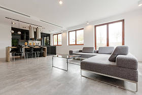 时尚客厅与厨房相结合图片