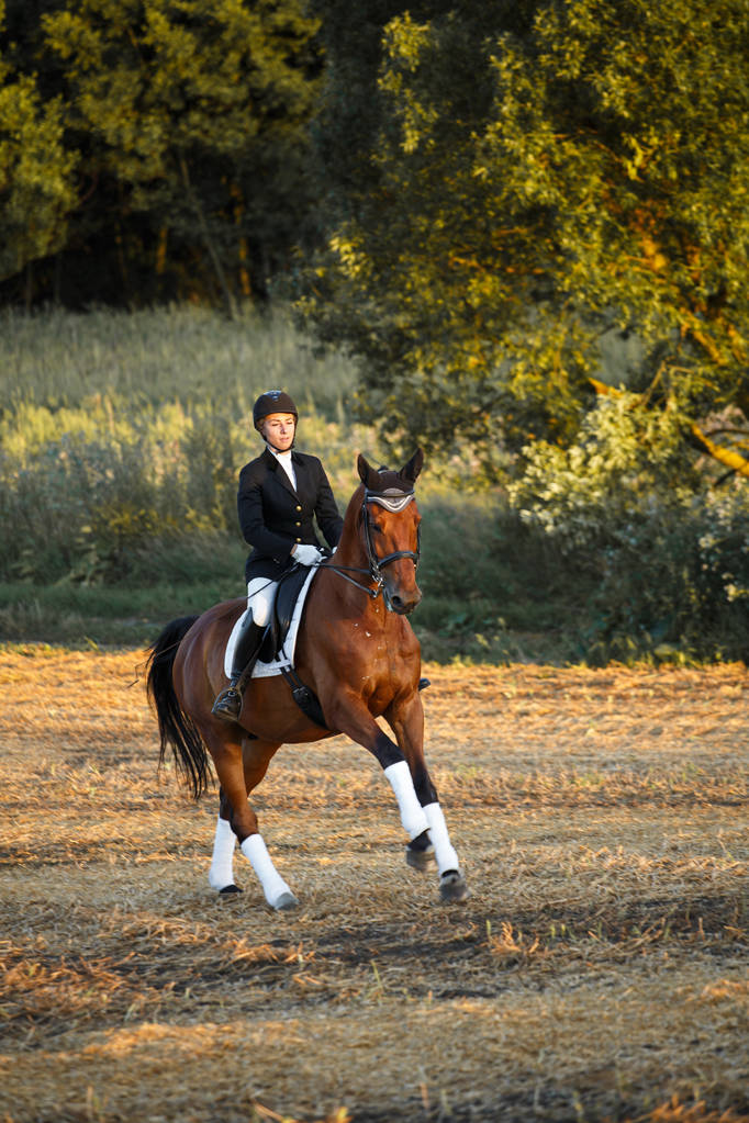 骑一匹马的女子。马术运动员赛马