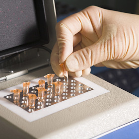 分子生物学图片