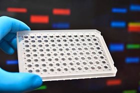 分子遗传学和生物技术.图片