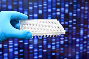 分子遗传学和生物技术