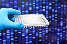 分子遗传学和生物技术