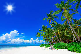 棕榈海洋天空图片