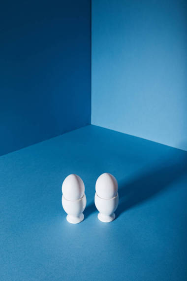 两个鸡蛋白持有人图片