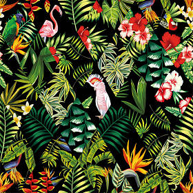 热带无缝割据黑色照片