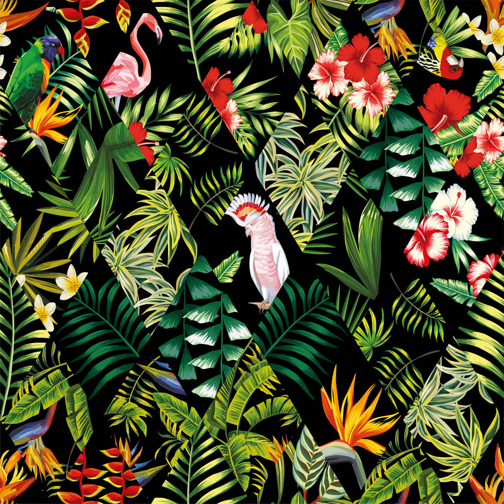 热带无缝割据黑色照片