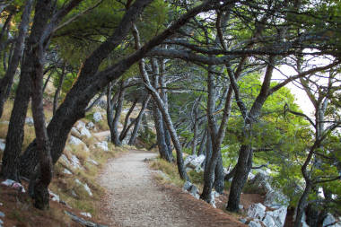 在克羅地亞的美麗風景圖片