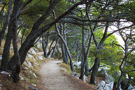 在克罗地亚的美丽风景图片
