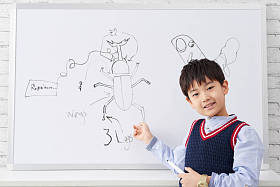 做指向 bug 图片