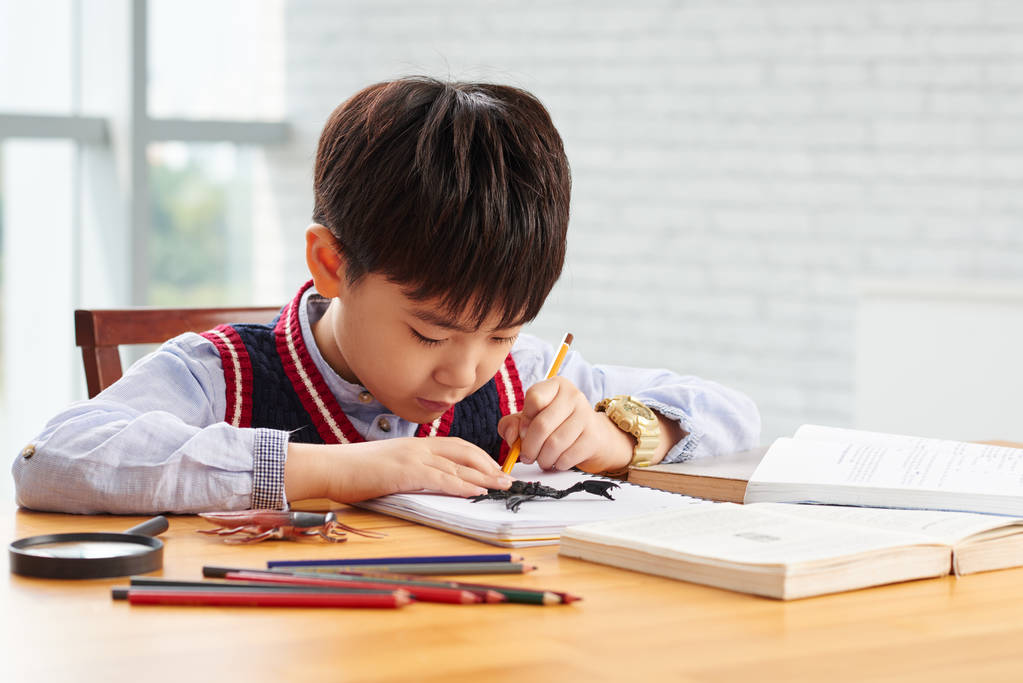 小学生绘图昆虫