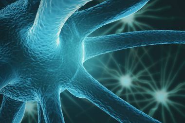 青綠神經(jīng)元特寫圖片