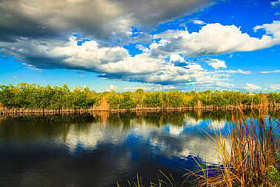 佛罗里达大沼泽地国家公园水路