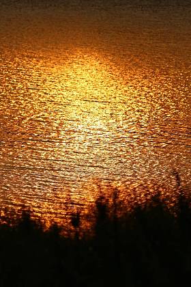 令人惊叹的日落在非洲刚果图片