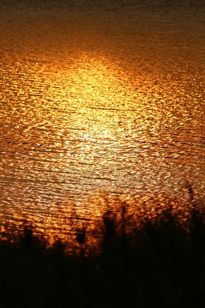 令人惊叹的日落在非洲刚果图片