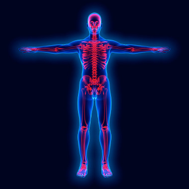 x 射线对人体解剖学图片