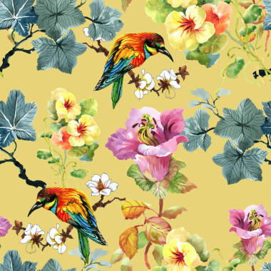 美丽的花卉图案图片