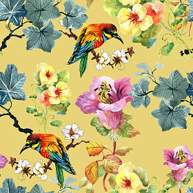 美丽的花卉图案图片