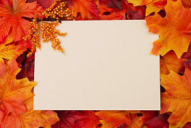 与秋天的空白卡留给您的消息或邀请