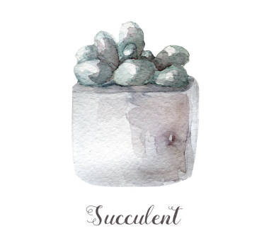 手繪水彩的肉質植物，在鍋中。完美的卡片、 標簽、 請柬、 web、 剪貼簿、 傳單等