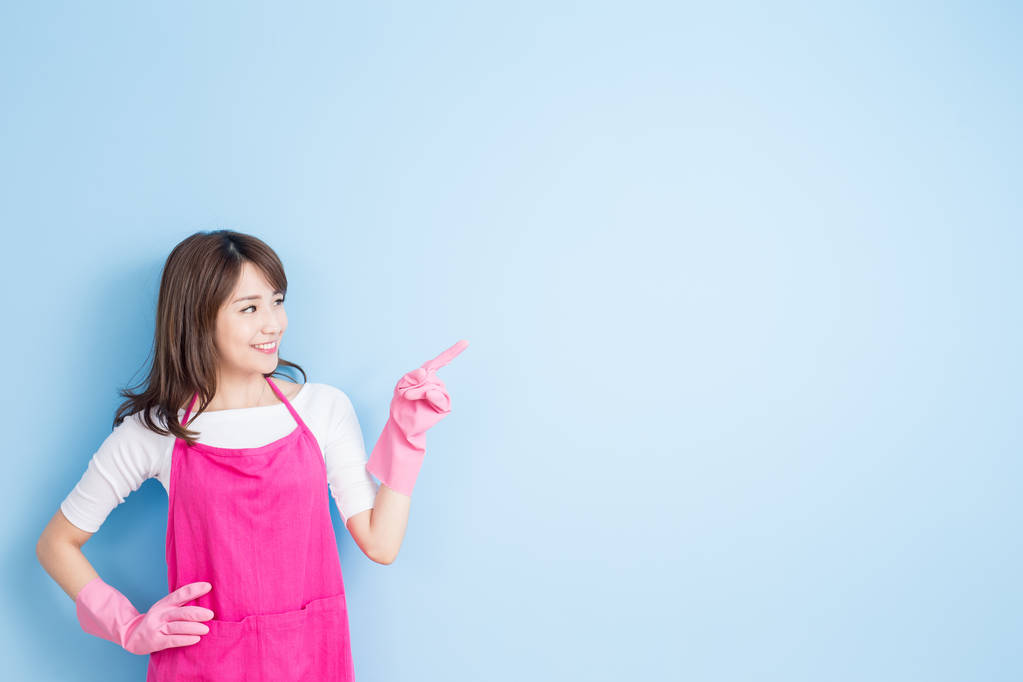 家庭主妇向你展示的东西 家庭主妇向你展示的东西