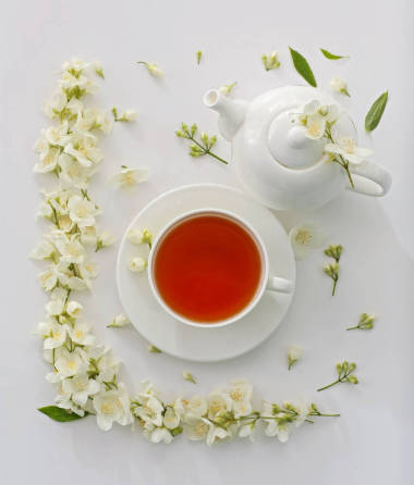 茶用茉莉花圖片