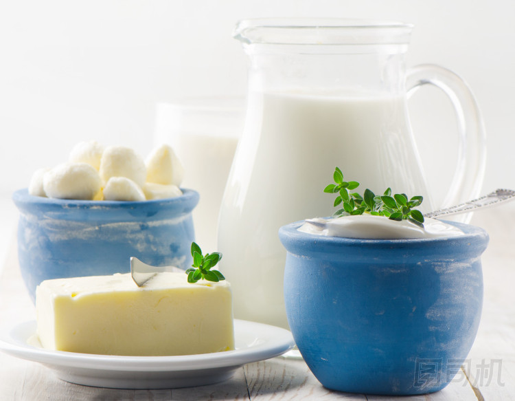 乳制品圖片