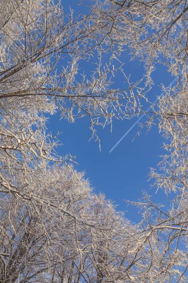 在寒冷的蓝天里，在冬季的森林里，飞机的飞行轨迹