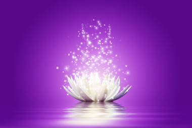 蓮花