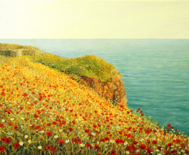 在 kaliakra 上的罌粟我