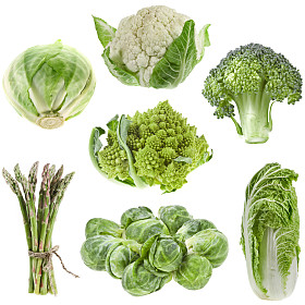 在白色背景上孤立的集合绿色白菜