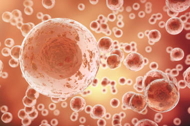 红色单元格背景。生活与生物学、 医学科学、 分子生物学研究 dna。3d 渲染