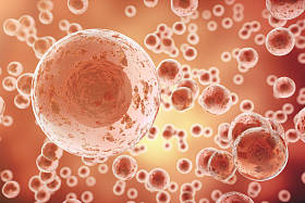 红色单元格背景。生活与生物学、 医学科学、 分子生物学研究 dna。3d 渲染