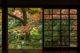秋天的枫树的日本花园