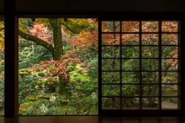 秋天的枫树的日本花园