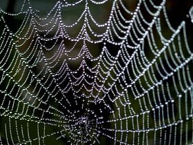 Web.图片